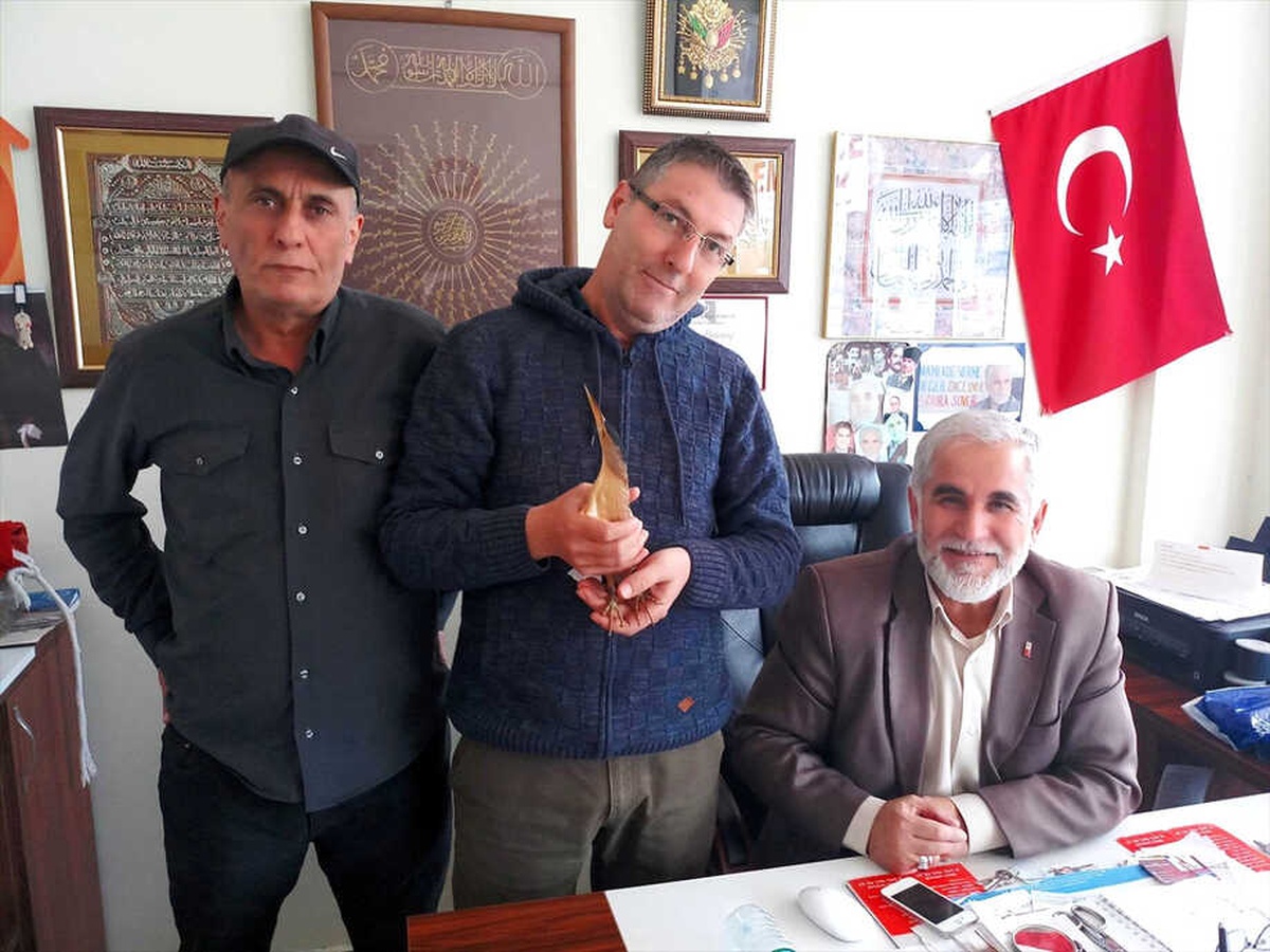 Yaralı Halde Bulunan Balaban Koruma Altına Alındı