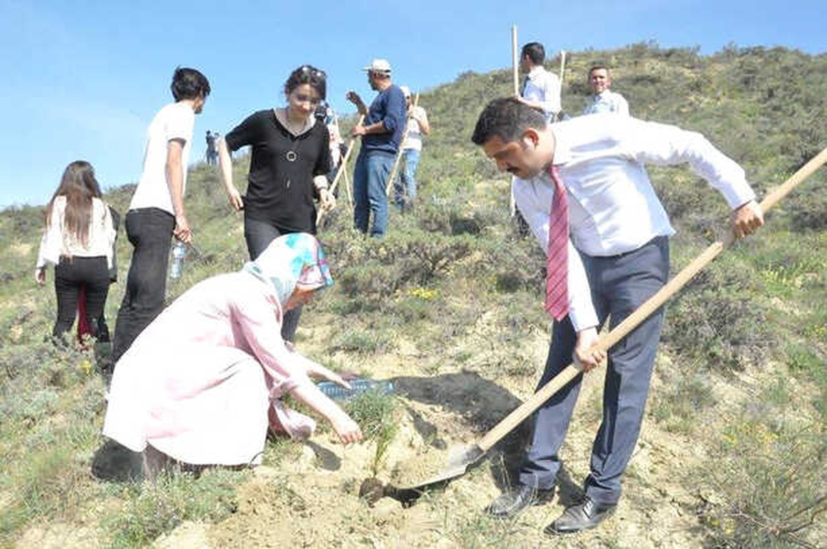 Sungurlu\'da 750 Fidan Toprakla Buluştu