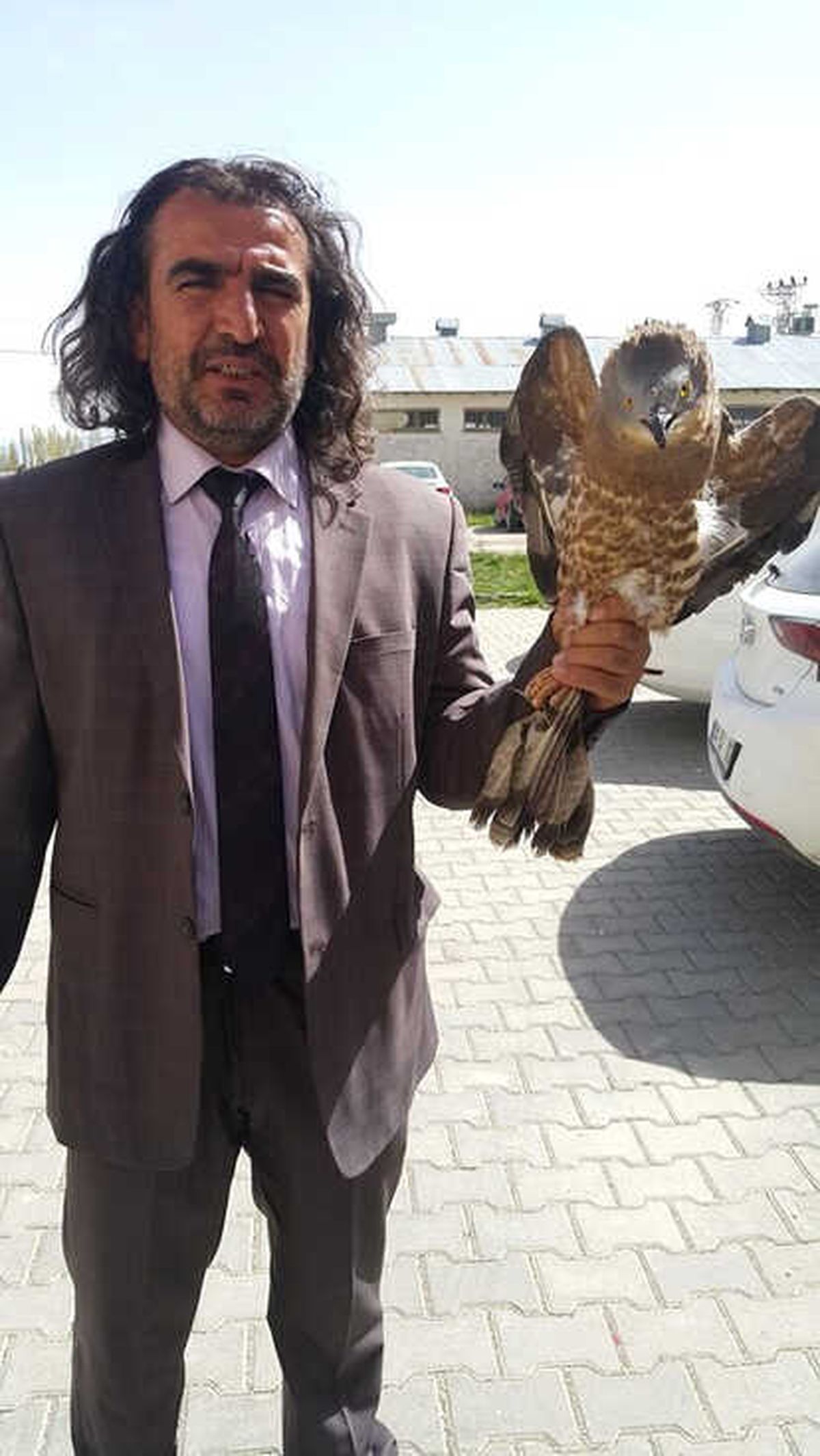 Yaralı Arı Şahin, Tedavi Altına Alındı