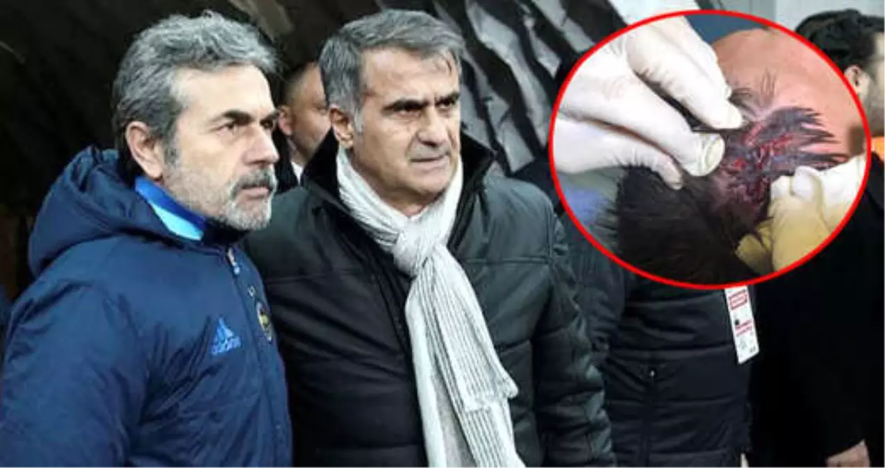 Aykut Kocaman: Kafa Yarılması Skrtel\'deki Gibi Olur