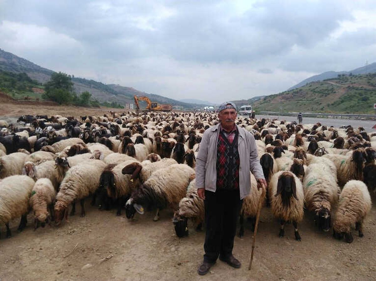 Göçerler, Zorlu Yolculuğun Ardından Zoveser Dağına Ulaştı