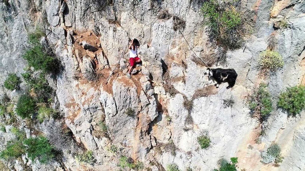 Kayalıklardaki Keçiyi Kurtarmak İsterken Kendi Mahsur Kaldı