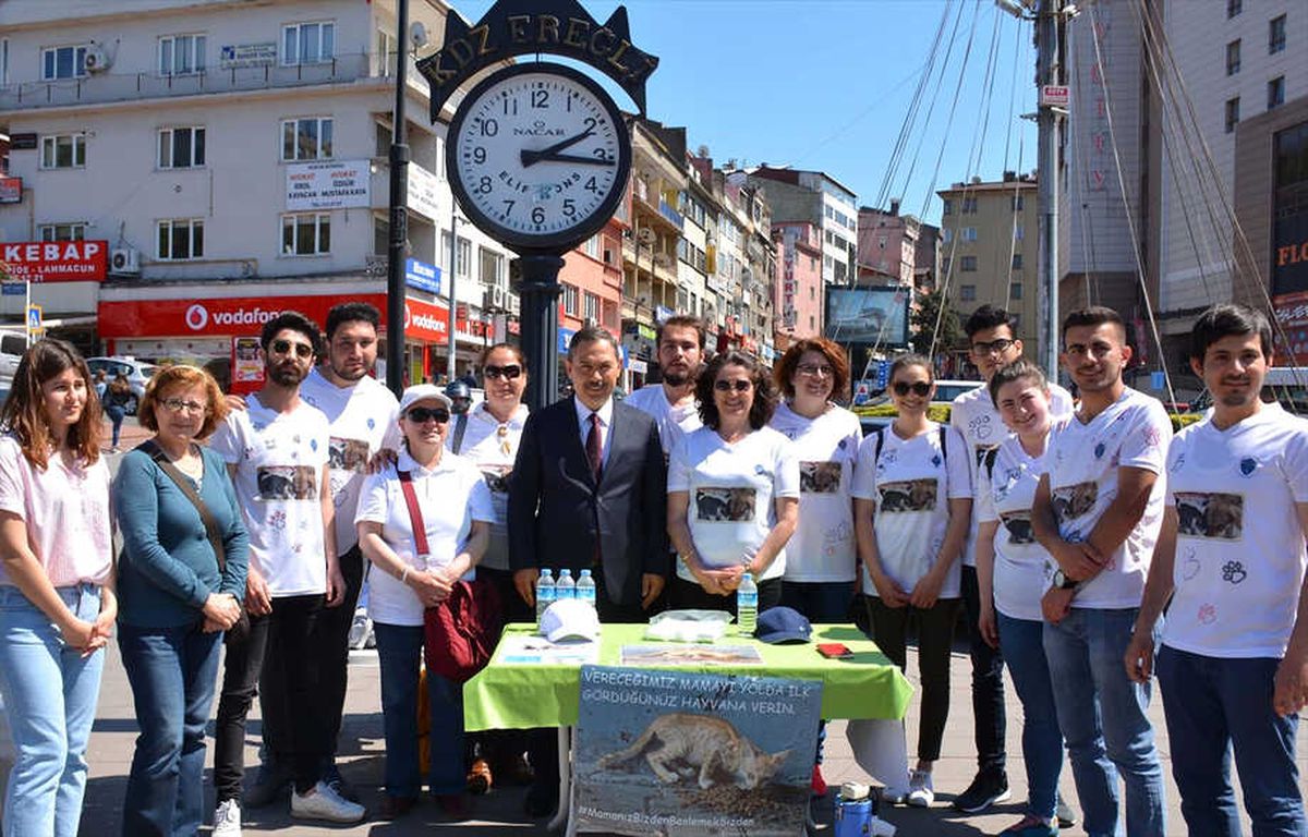 Sokak Hayvanlarına Ücretsiz Mama Dağıttılar