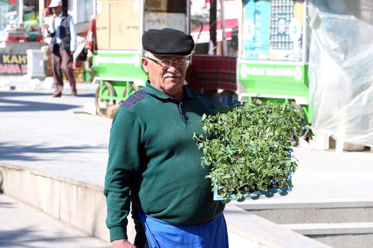 Yozgat\'ta Fide Satışı Başladı