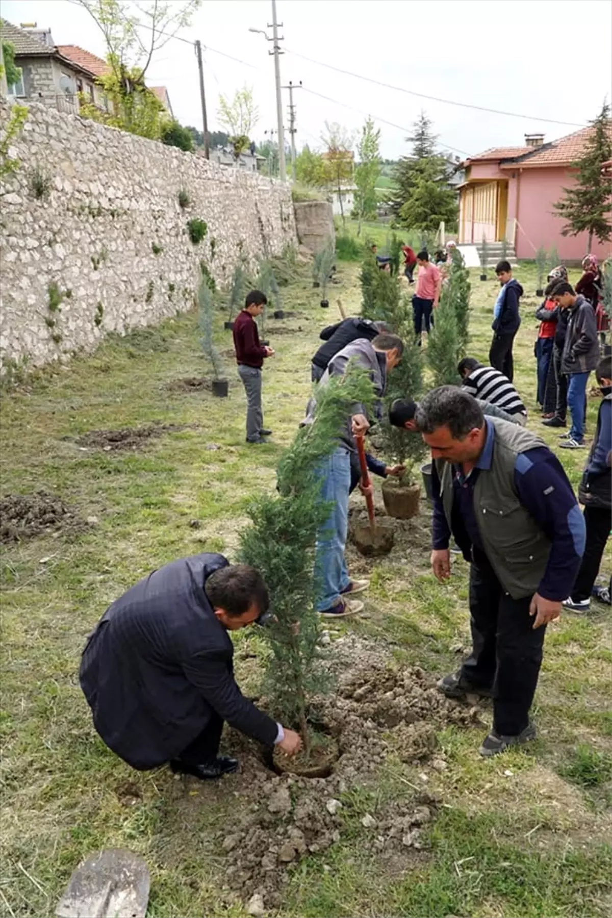 Derebucak\'ta Öğrenciler Okul Bahçesine Fidan Dikti