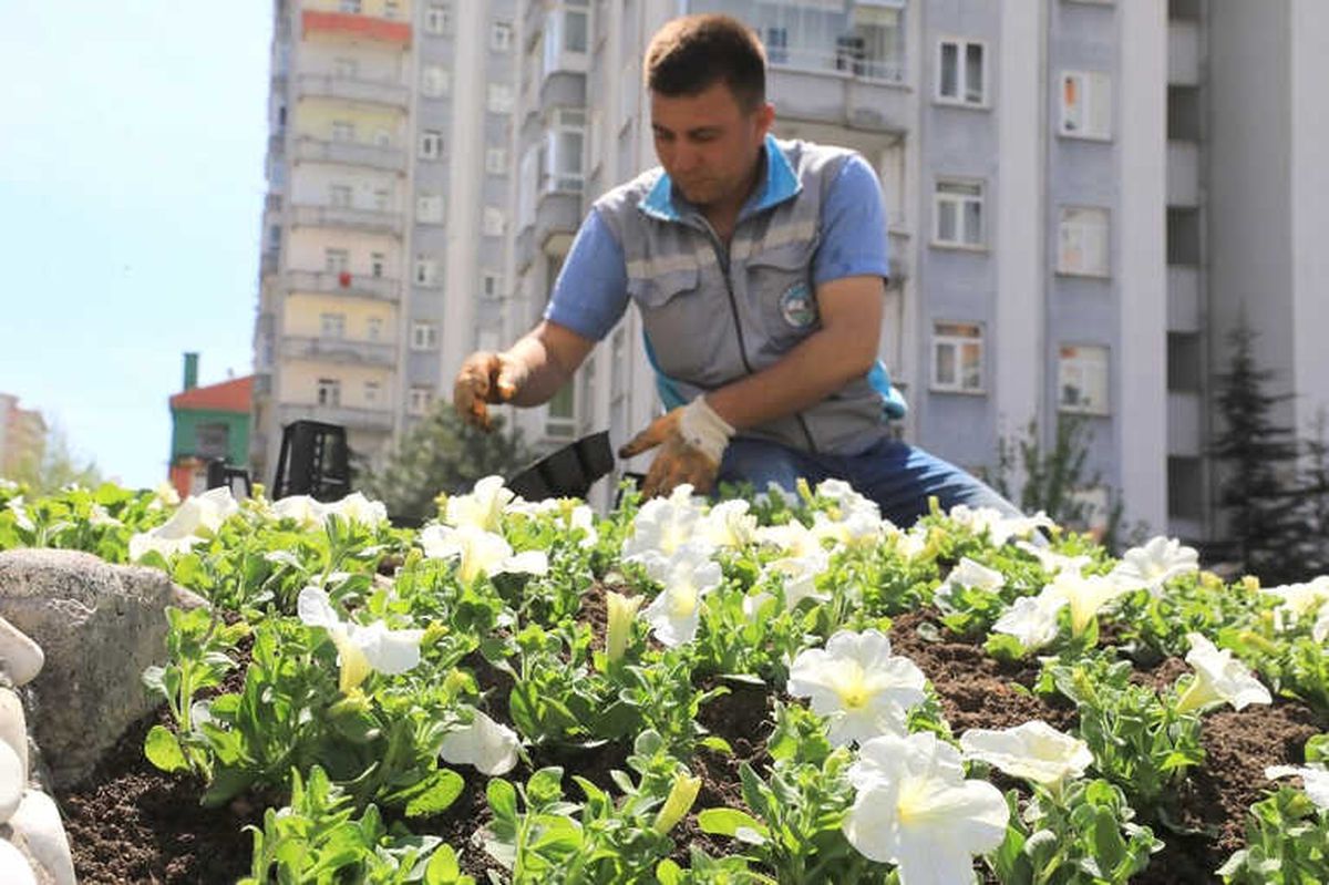 Talas 70 Bin Çiçek ve 50 Bin Fidanla Süslendi