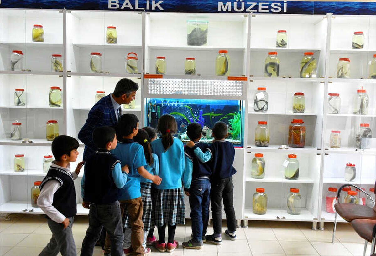 Tarım ve Hayvanlarla İçe İçe Eğitim