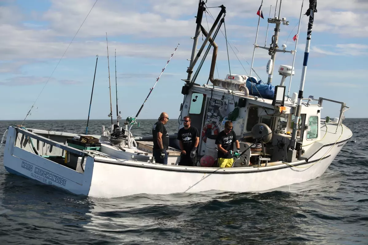 "Korkusuz Balıkçılar"In Mücadelesi National Geographic\'te
