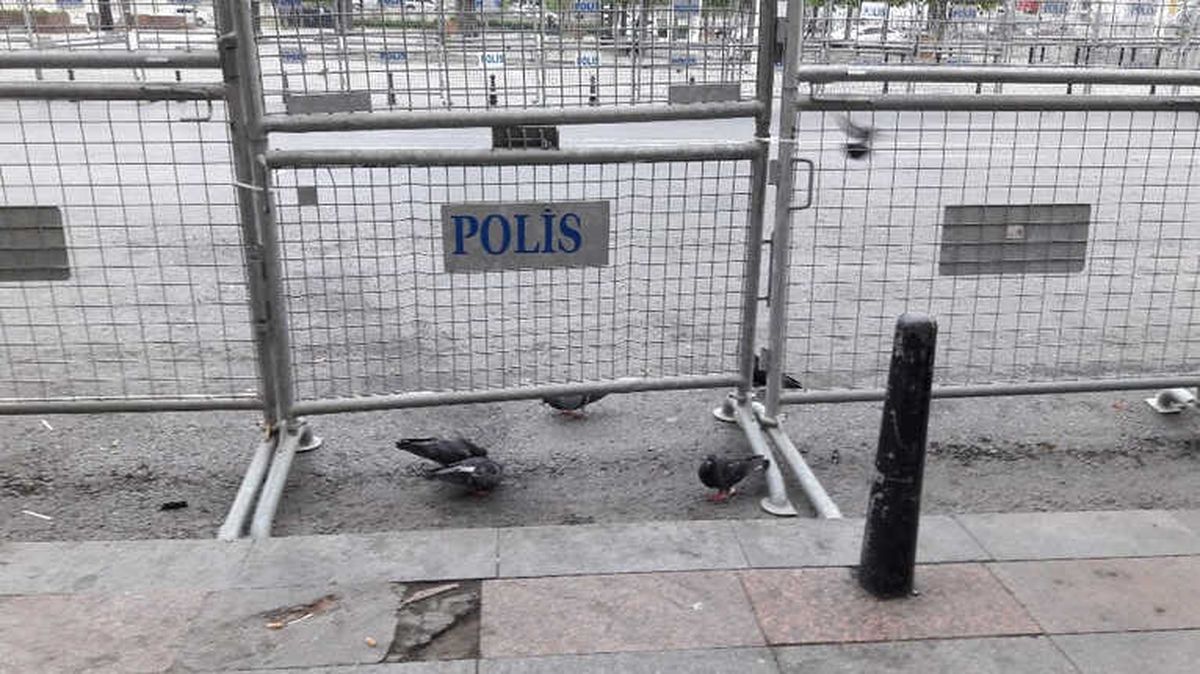 Taksim Meydanı Kuşlara Kaldı