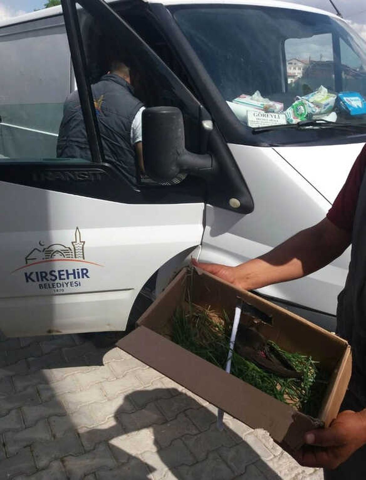 Tavan Arasına Sıkışan Kuş, 110 Ekipleri Tarafından Kurtarıldı