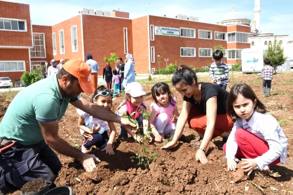 Üniversitede 180 Meyve Fidanı Daha Toprakla Buluştu