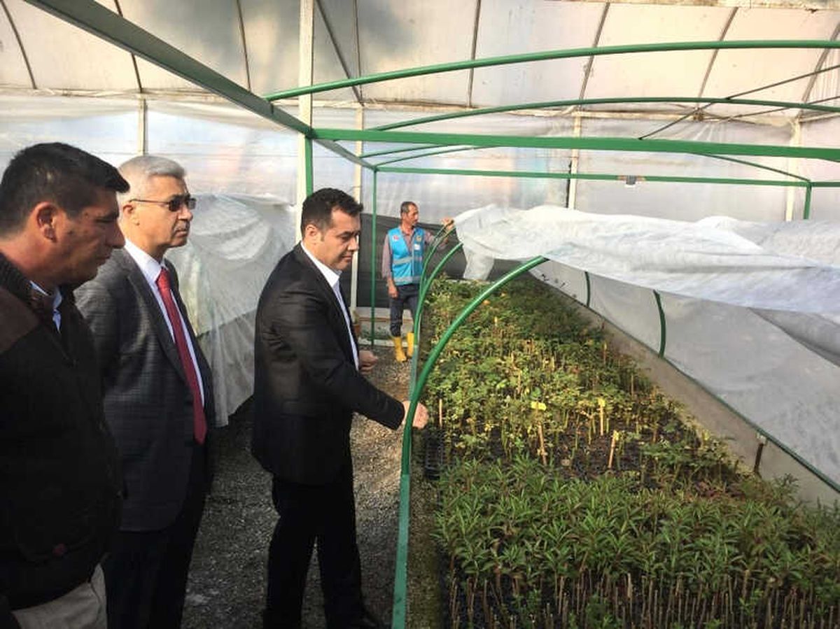Alanya Belediyesi Bitki ve Çiçek Üretiminden 2,5 Milyon TL Tasarruf Sağladı