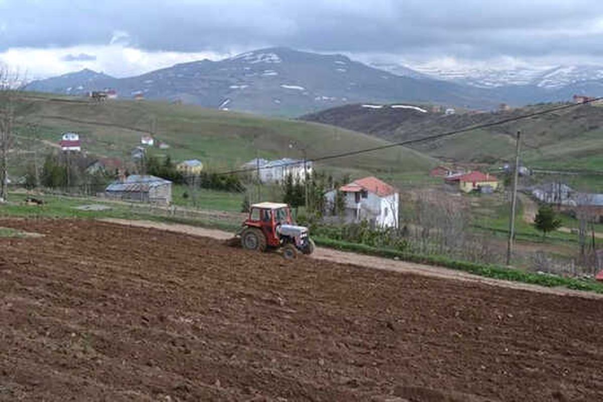 Doğu Karadeniz\'de Traktör Sayısı Bir Yılda 1867 Adet Arttı