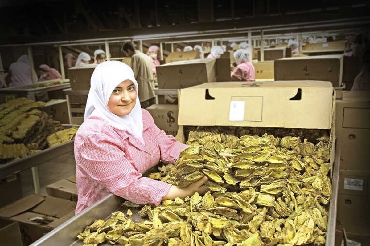 Ege İhracatında Bahar Bereketi