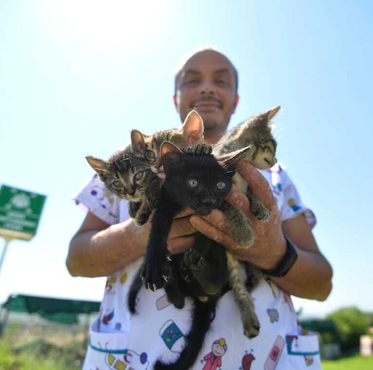 Kedi ve Köpek Maması Üzerinden Açık Artırma