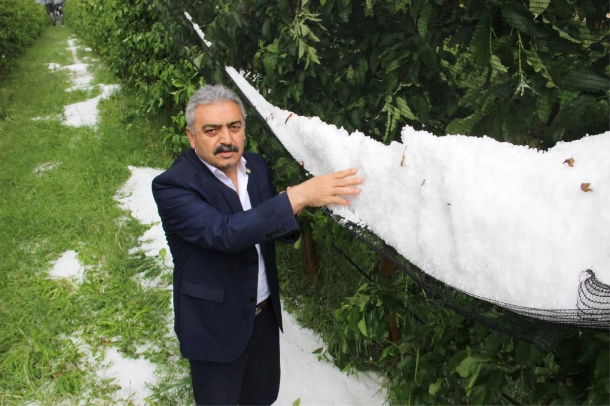 Karaman\'da Dolu Elma Ağaçları ve Ekili Alanlara Zarar Verdi
