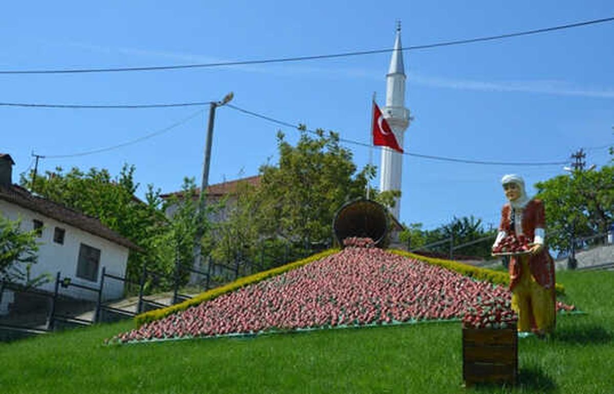 Sermayecik"İn Sermayesi Çilek