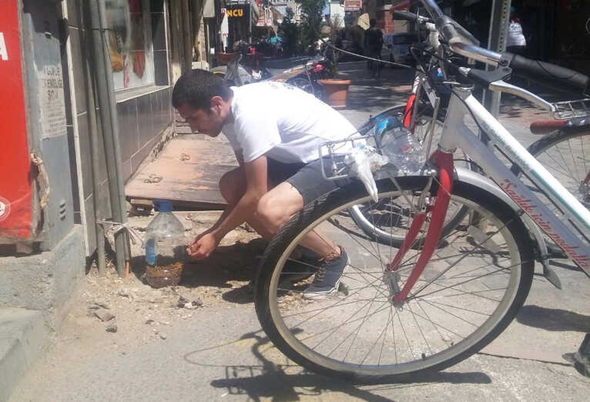 Sokak Hayvanları İçin Pedalladılar