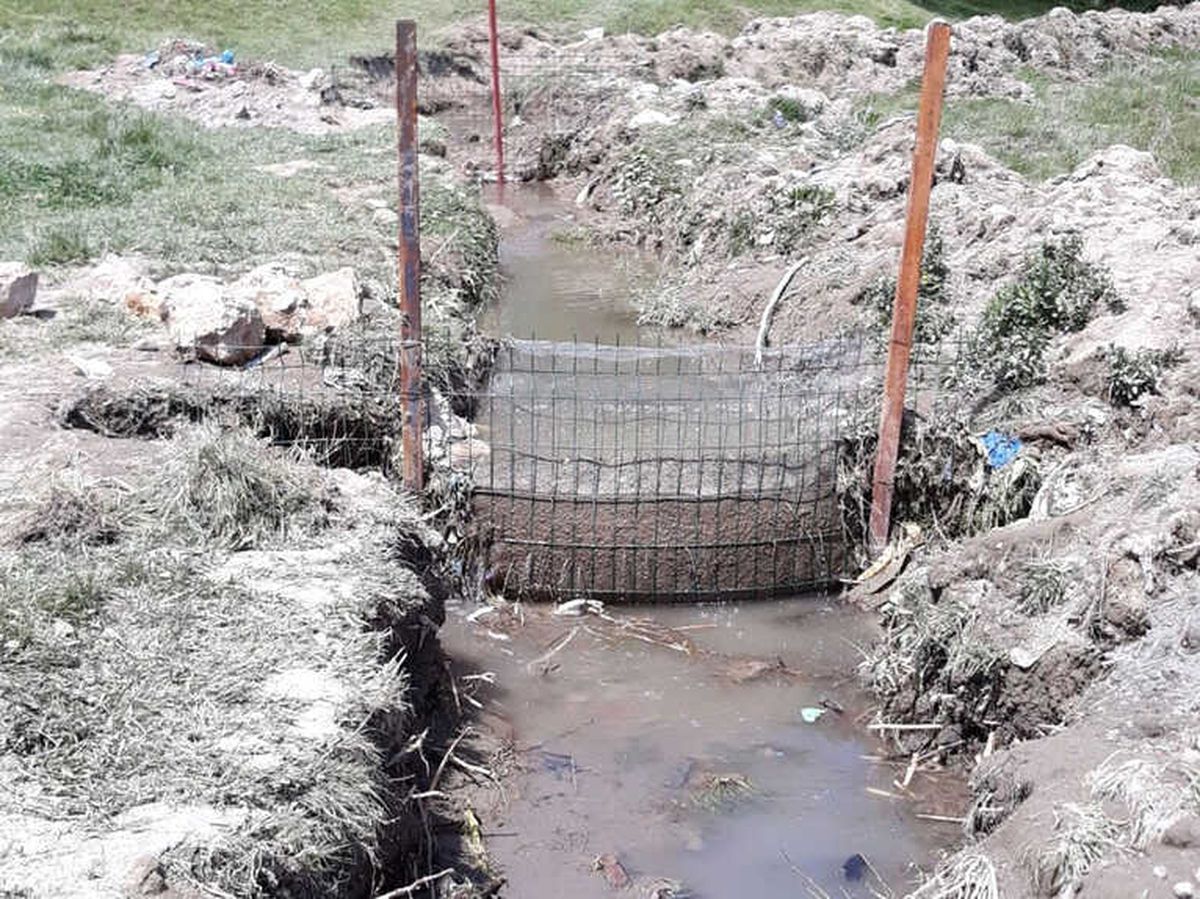 Sulama Kanalında İnci Kefali İçin Önlem