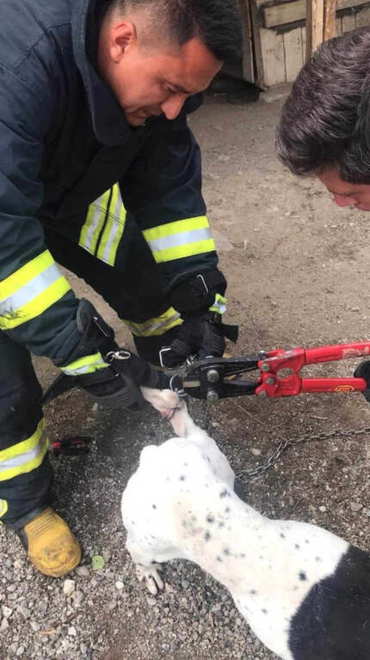 Bacağına Kanca Dolanan Köpeği İtfaiye Kurtardı