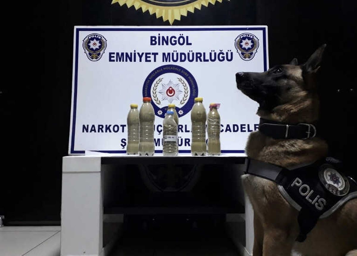 Bingöl\'de Uyuşturucu Operasyonları: 6 Şüpheli Tutuklandı