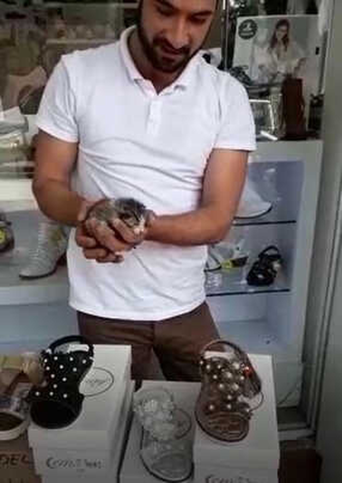 Duvar Kaplamada Mahsur Kalan Yeni Doğmuş Kediyi Esnaf Kurtardı