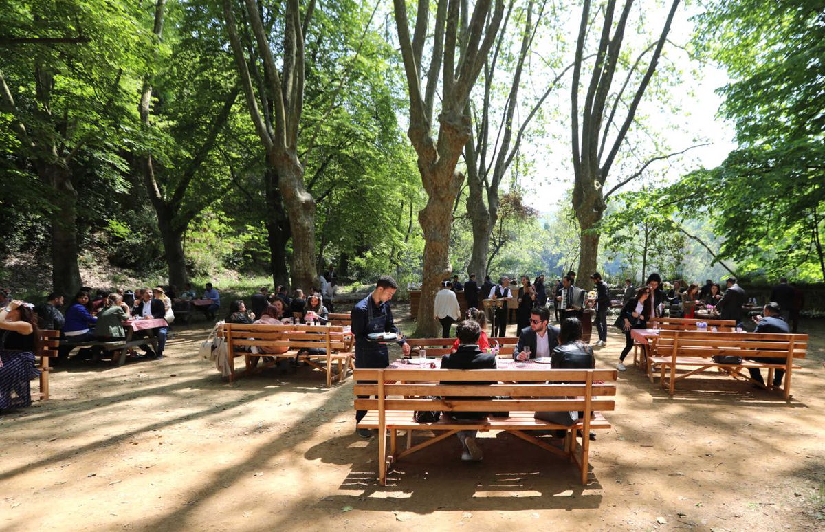 Mesa Kalitesi Çubuklu\'da