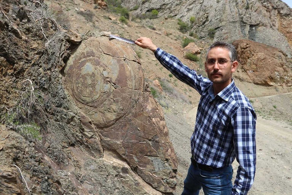 Salyangoz Görünümlü Kaya