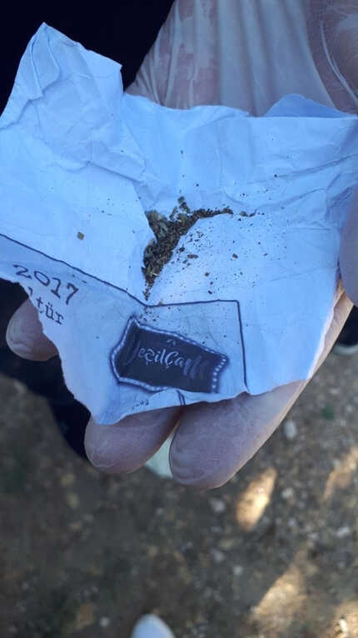 Üzerinden Bonzai Çıkan Şahıs Tutuklandı
