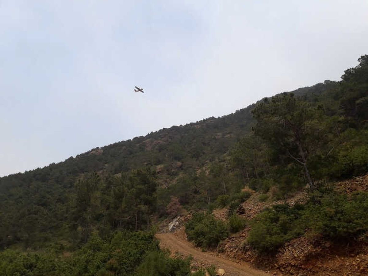 Hatay\'da Orman Yangını Söndürme Çalışmaları 4 Gündür Sürüyor