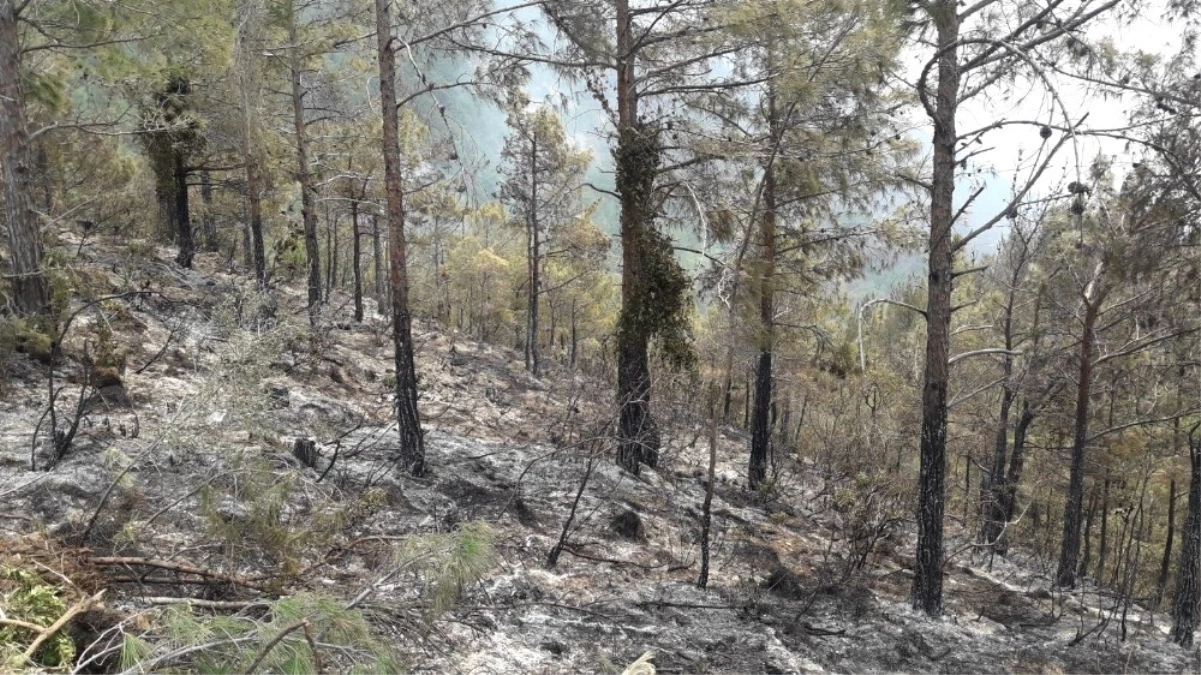 Hatay\'daki Orman Yangını Kontrol Altına Alındı