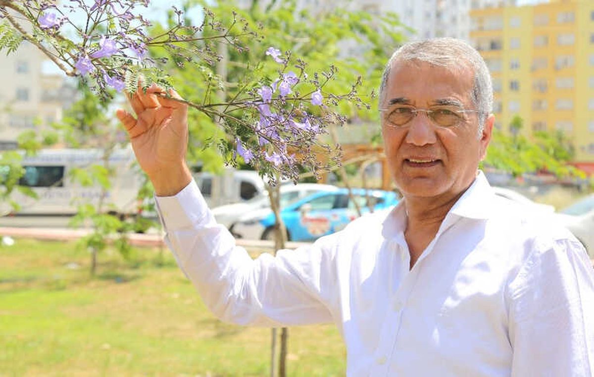 Jakaranda Ağaçları Mezitli\'nin Havasını Değiştirdi