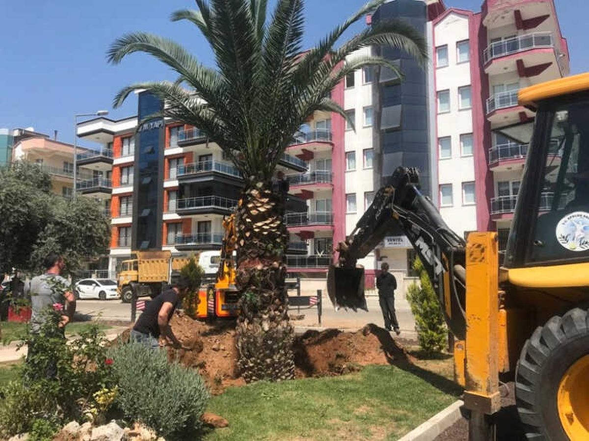 PTT Başmüdürlüğünün Talebini Gerçekleştirdi