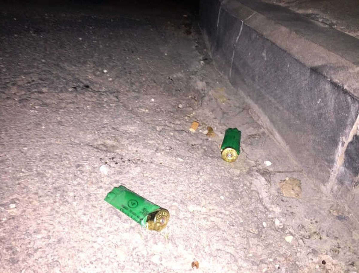 Eski Nişanlı Dehşeti