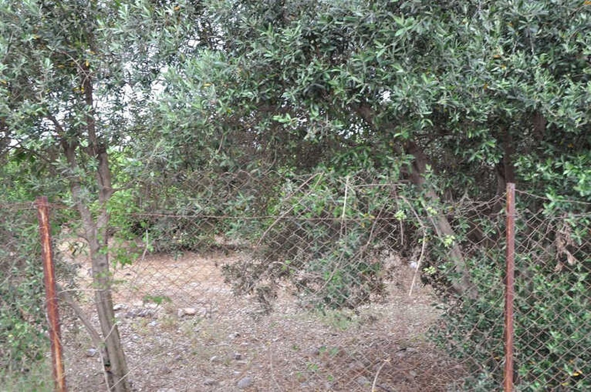 Hatay\'da Bir Kişi Silahla Vurularak Öldürülmüş Halde Bulundu