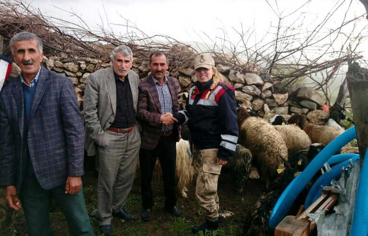 Jandarma Kaybolan Koyunları Sahiplerine Teslim Etti