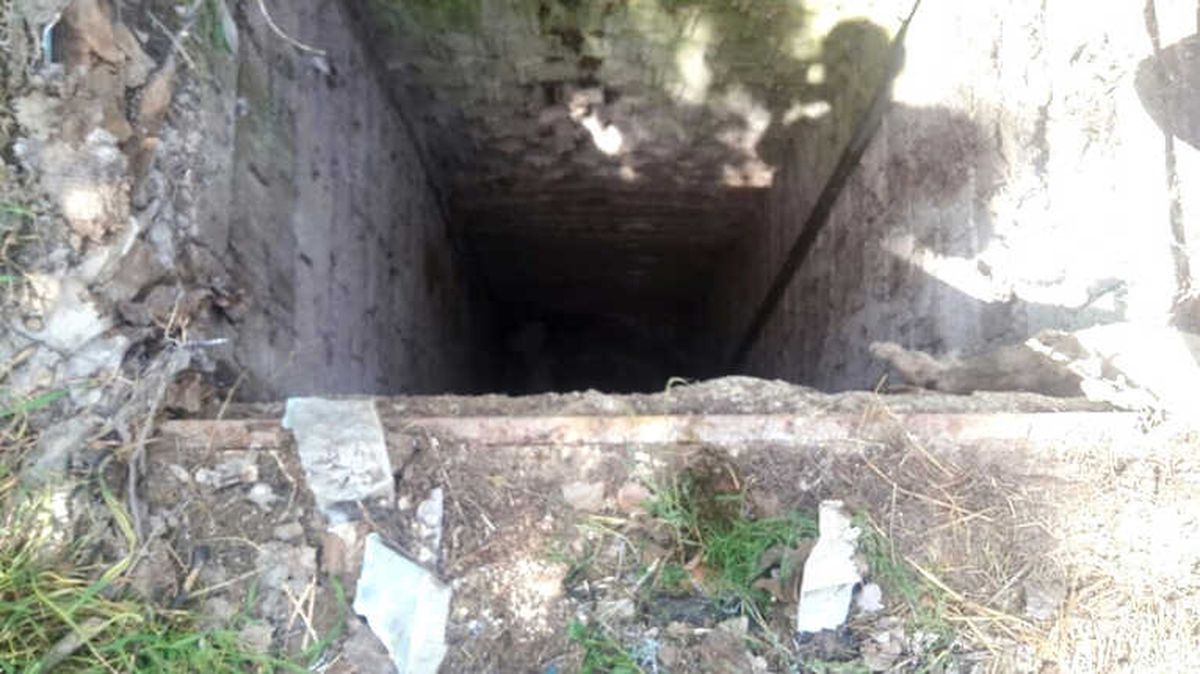 Su Kuyusuna Düşen İnek Telef Oldu