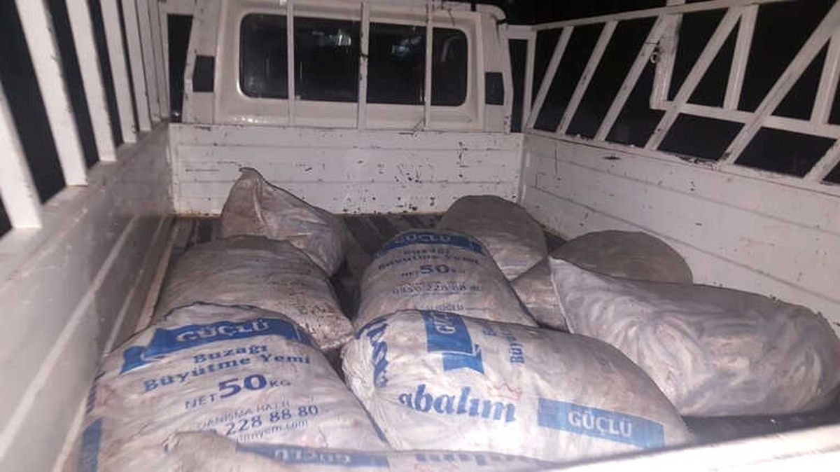 Van\'da 2,4 Ton İnci Kefali Ele Geçirildi