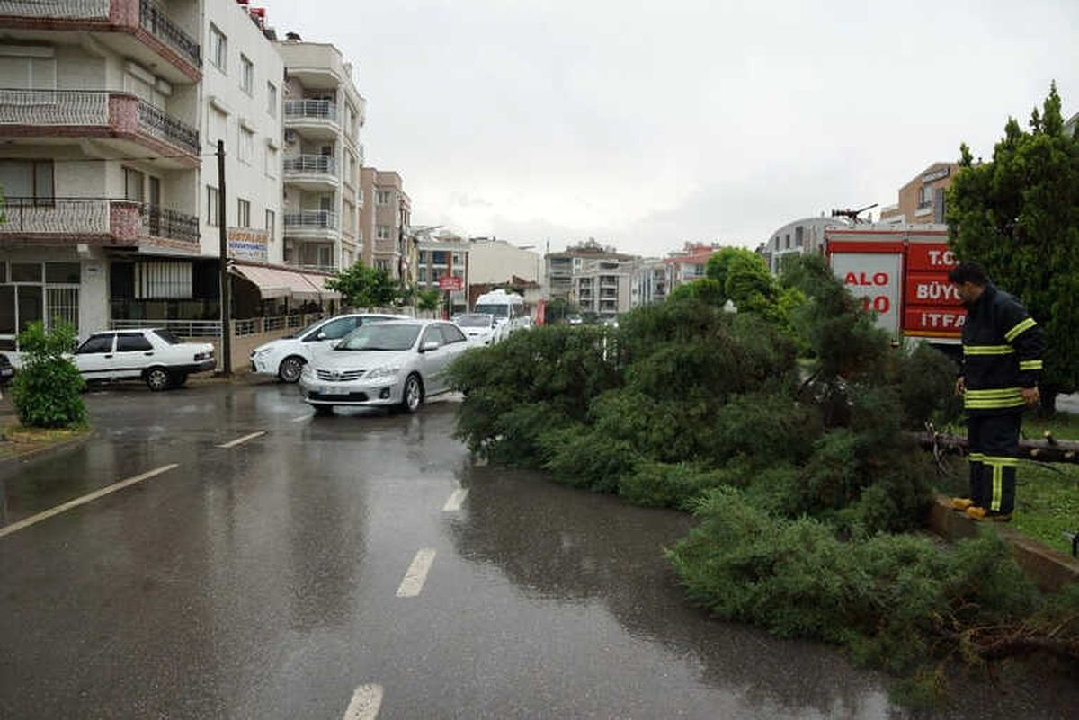 Aydın\'da Fırtına Ağaç Devirdi