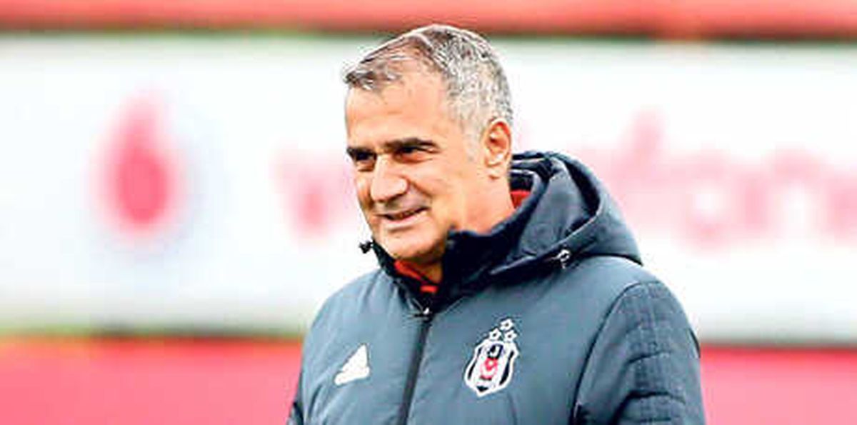 Dalya Hazırlığı