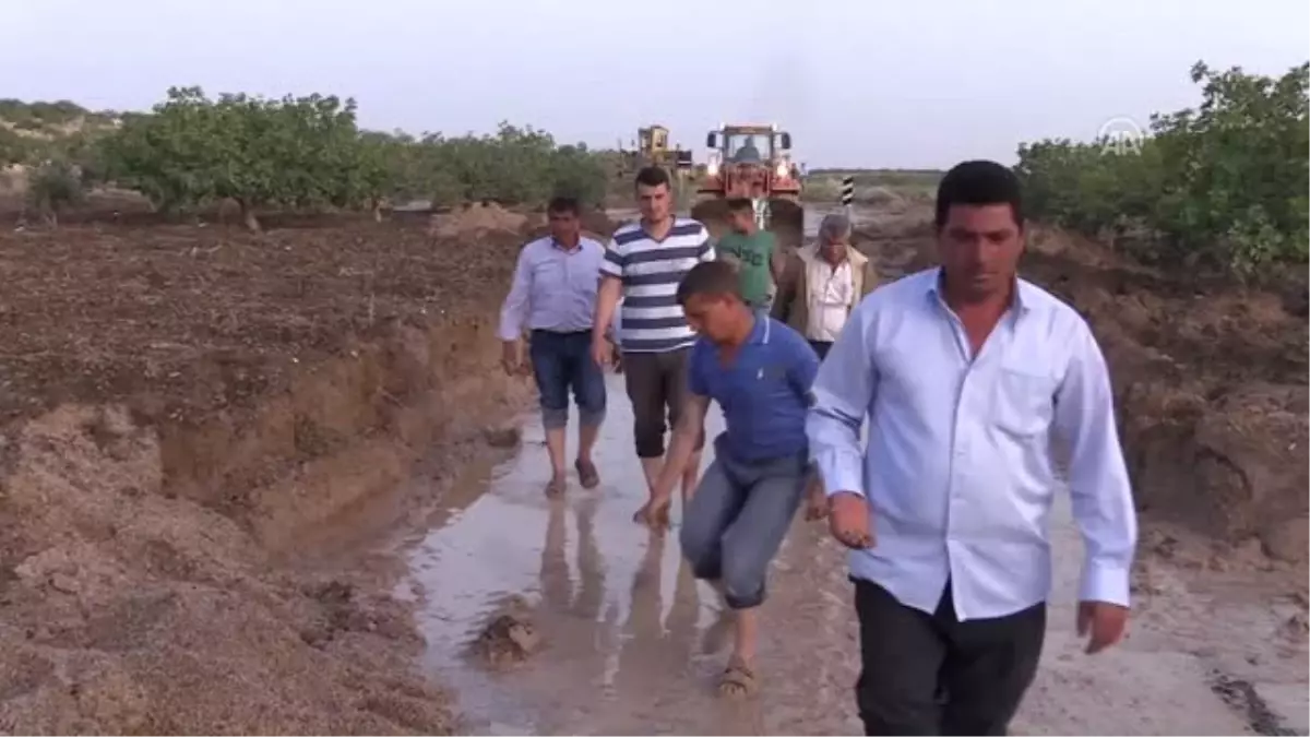 Dolu Fıstık Ağaçlarına Zarar Verdi