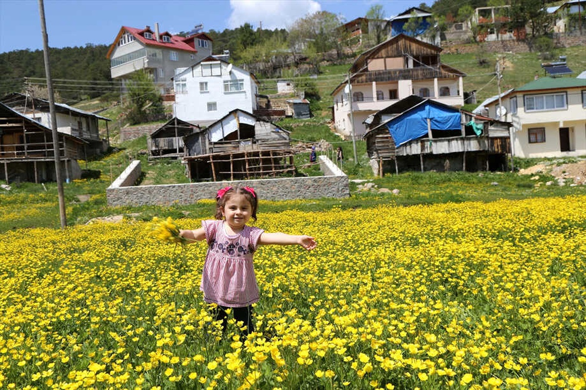 Eğriçimen Yaylası\'nda İlkbahar Güzelliği