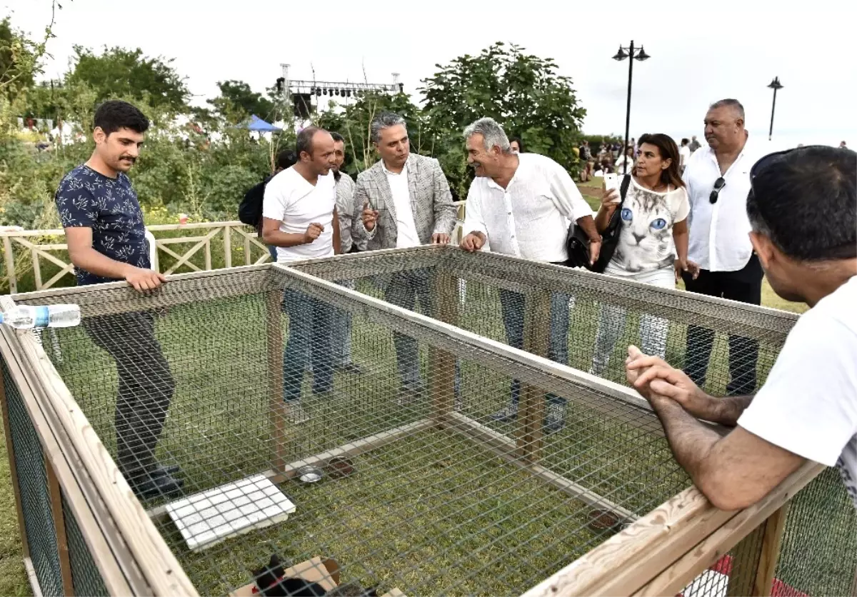 Müzayedeyle 165 Kilogram Kedi Köpek Maması Toplandı