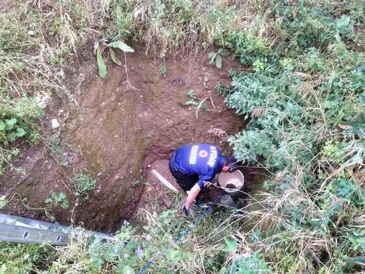 İtfaiye Bu Kez Kirpi ve Kaplumbağa Kurtardı
