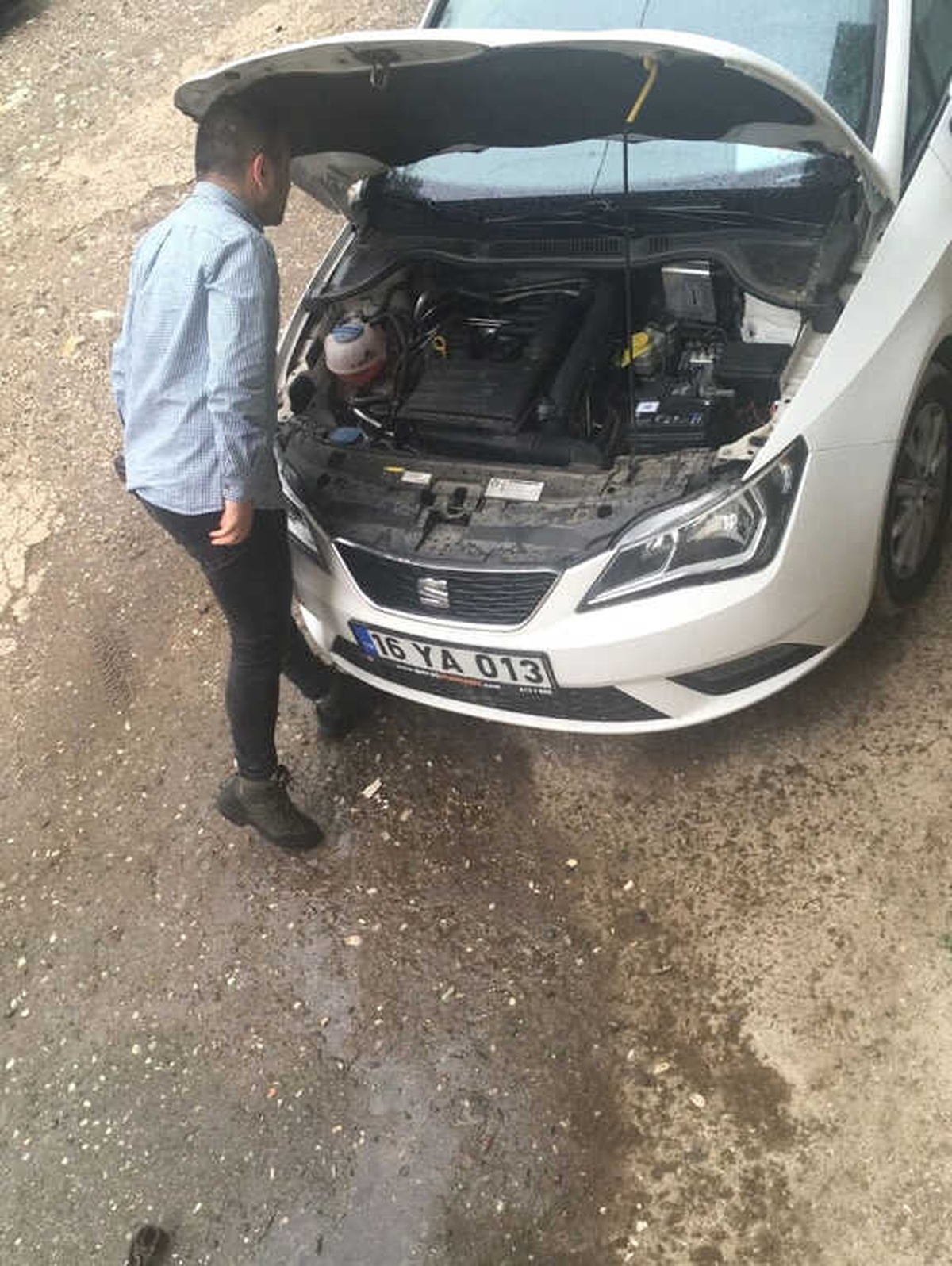 Otomobilin Motoruna Giren Kedi Bursa\'yı Dolaştı