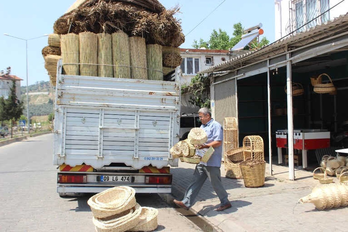 Aydınlı Romanların Söğüt Sıkıntısı
