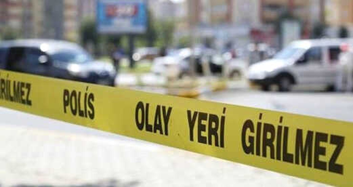 Geri Manevra Yaparken Çarptığı 2 Yaşındaki Yeğeni Can Verdi