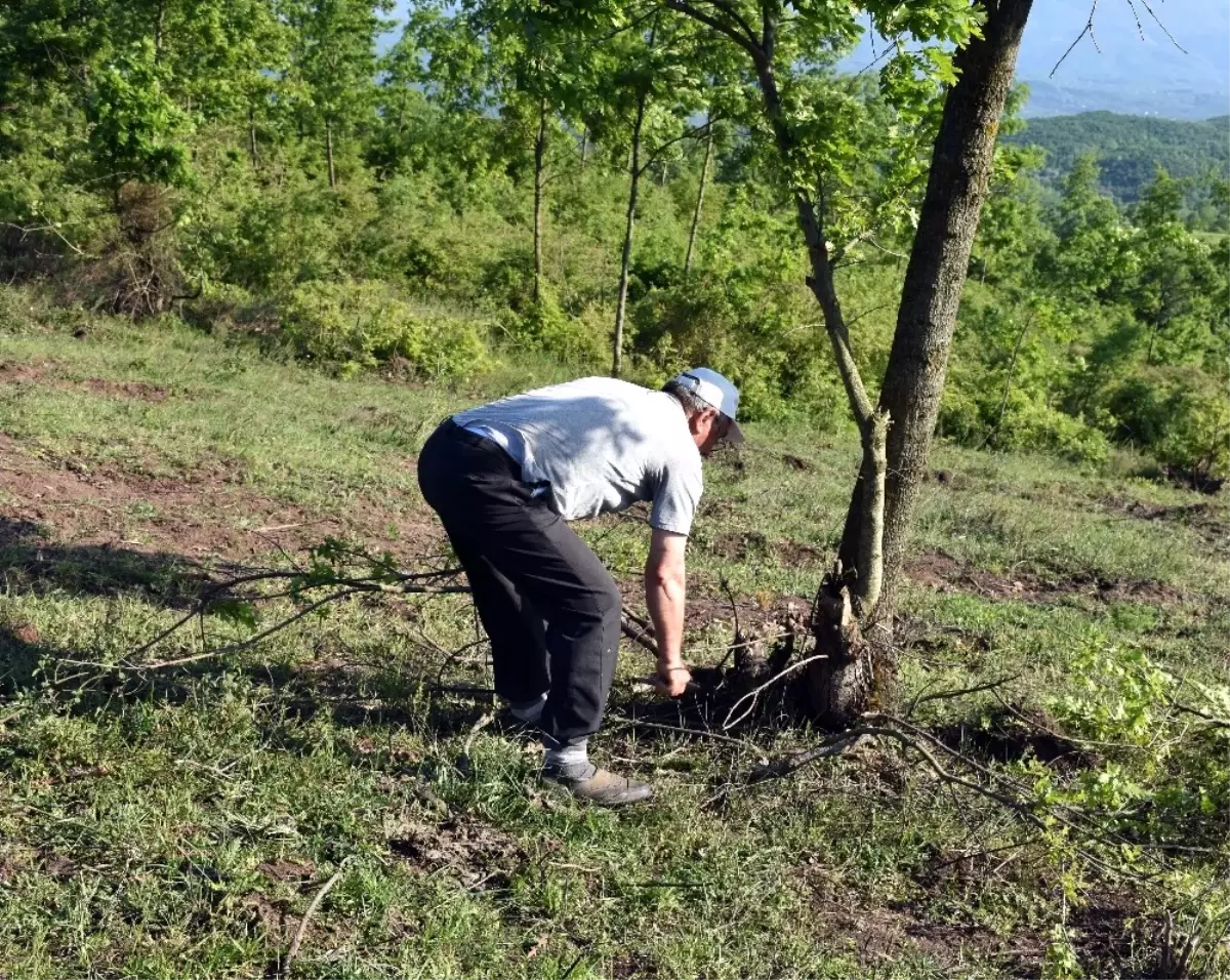 Muhtar Tek Başına Mahallenin Meralarını Islah Etti