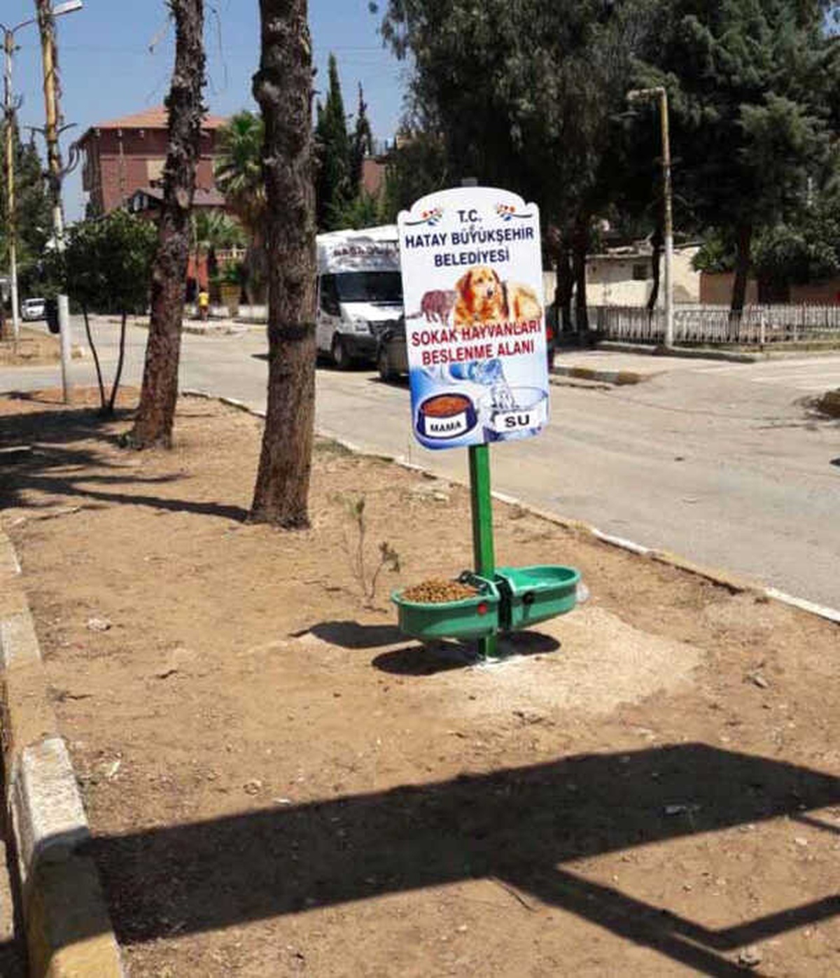 Sokak Hayvanları İçin Beslenme Odakları Kuruldu