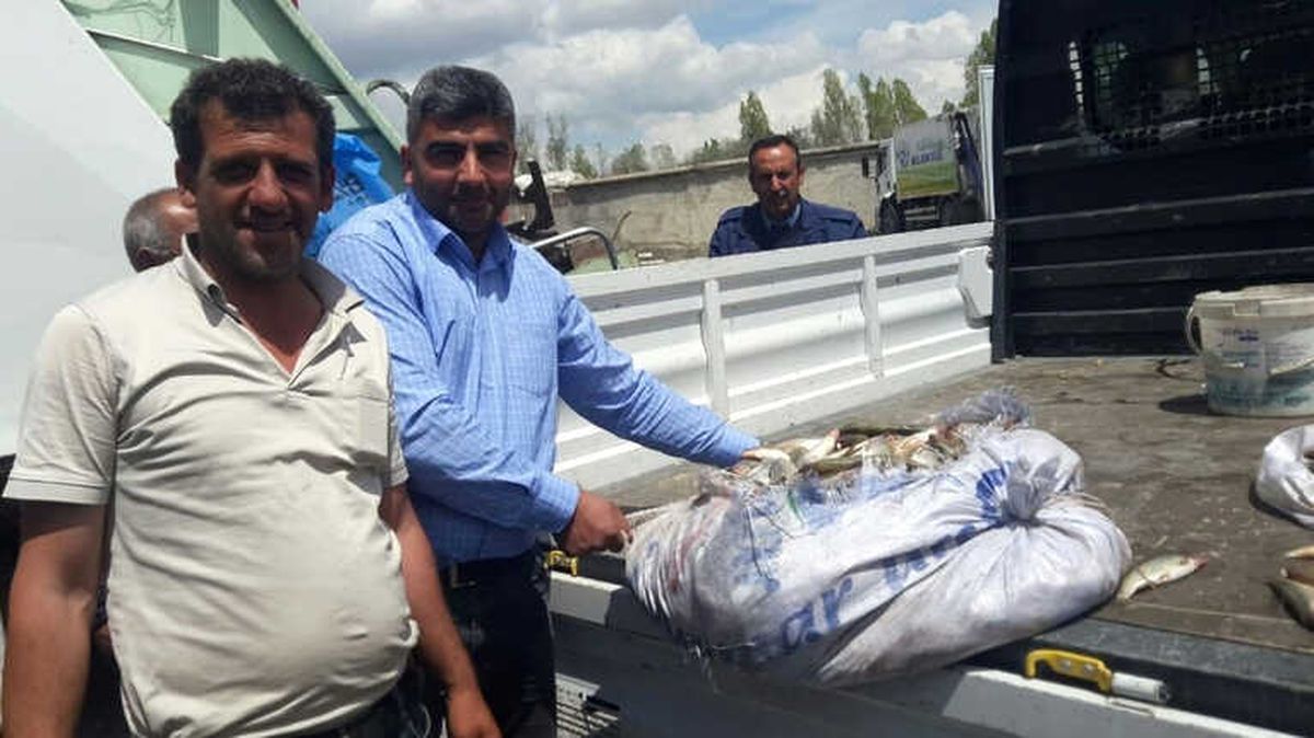 Van\'da 7 Torba Kaçak Avlanmış İnci Kefali Ele Geçirildi